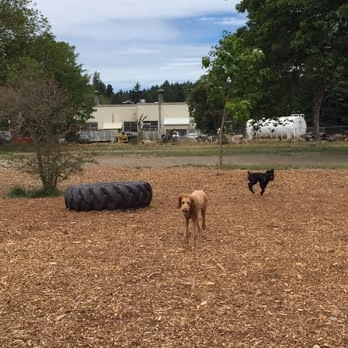 Eastside Off-leash Area photo 2